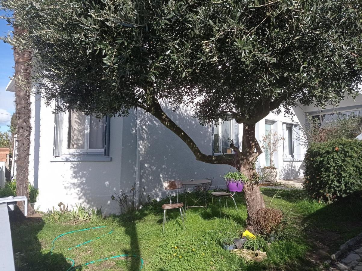 Chambre Meublee Independante, Avec Piscine Et Jardin, 1 Lit Pour 2 Personnes Direct Gare Aeroport Toulouse Eksteriør bilde